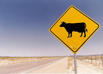 强强联手 业界老兵成立新工作室Day 4 Night